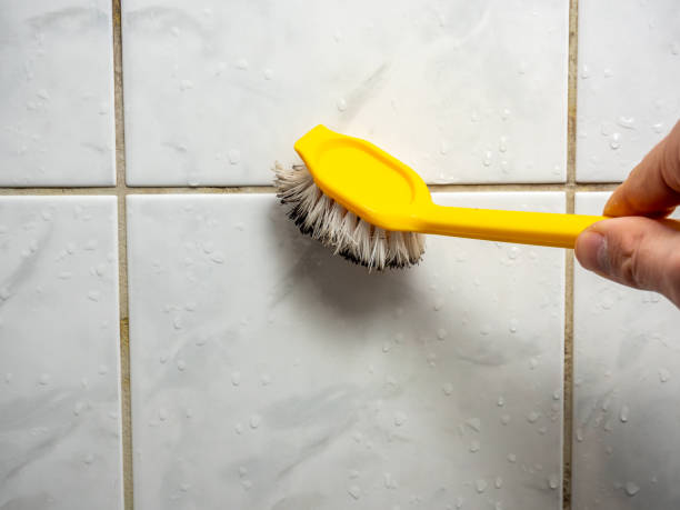 Best Mold Cleaning Services  in Commercial Point, OH
