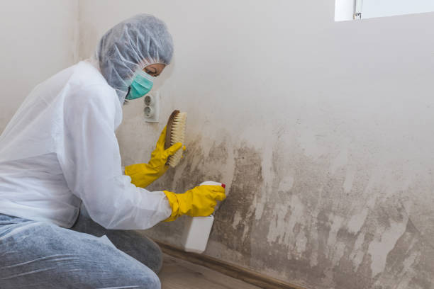Best Water Damage Restoration  in Commercial Point, OH