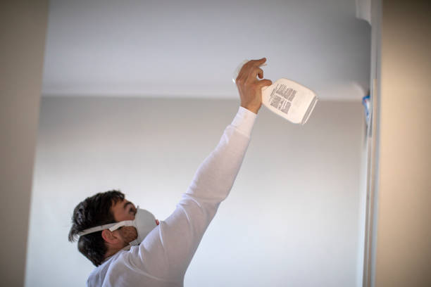 Best Fast Mold Removal  in Commercial Point, OH