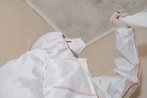Best Mold Removal Company Near Me  in Commercial Point, OH