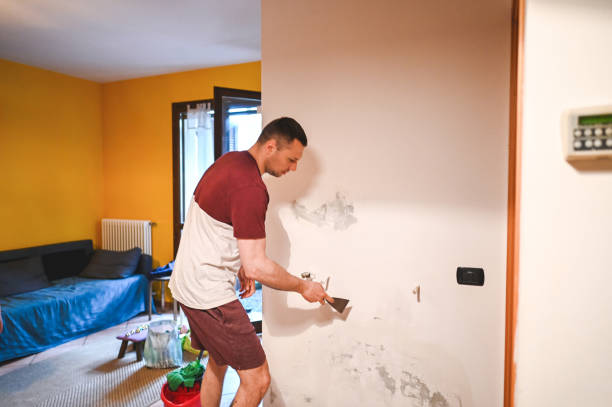 Best Certified Mold Removal  in Commercial Point, OH